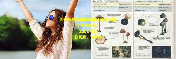 амфетамин Бугульма