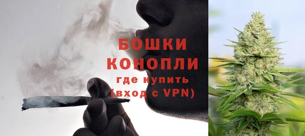 стафф Бородино