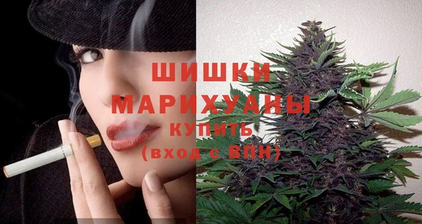 шишки Бронницы