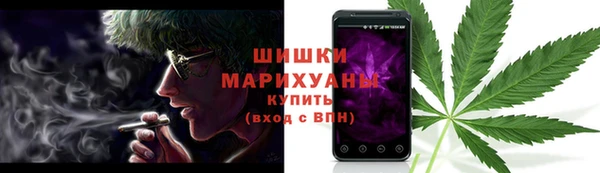 стафф Бородино