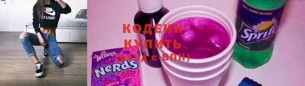 шишки Бронницы