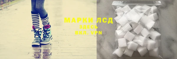 стафф Бородино