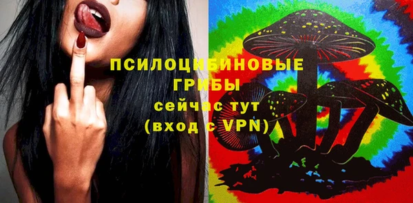 шишки Бронницы