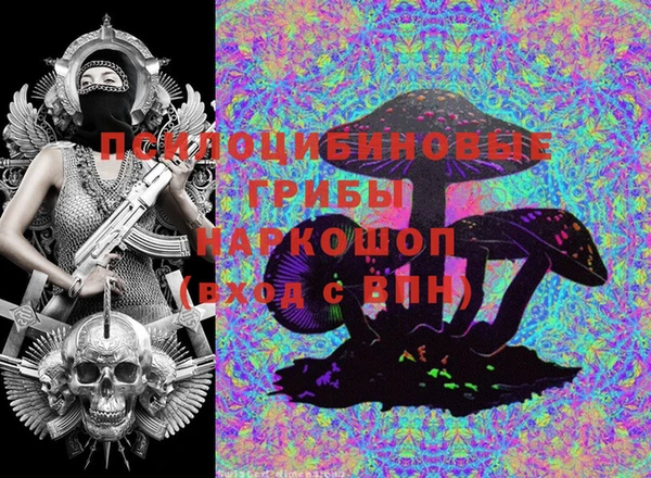стафф Бородино
