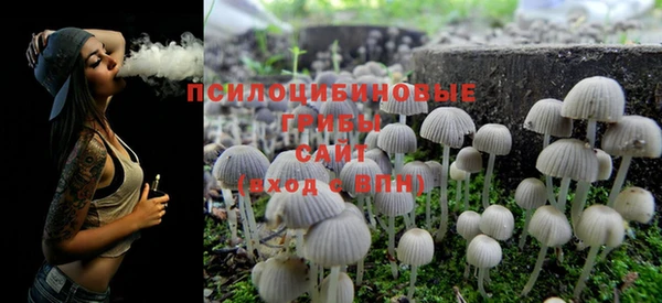шишки Бронницы