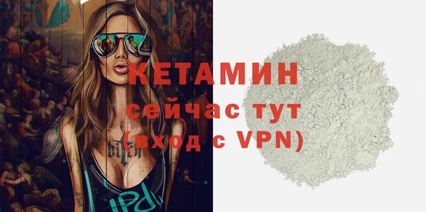 шишки Бронницы